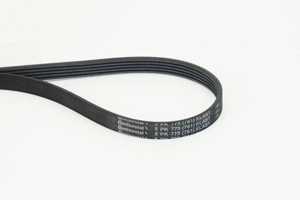 V-ribbed Belt